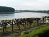 P1000316.jpg
