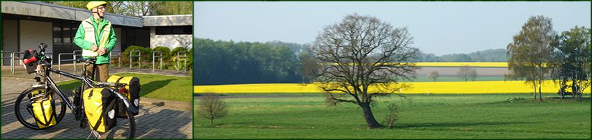 bt-header-12.jpg