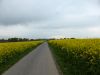 P1000231.JPG