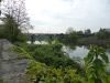 P1000241.jpg