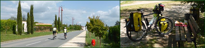bt-header-14.jpg
